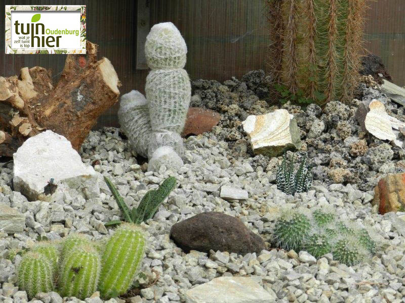 Cactustuin - Tuin Marc