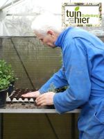 verspenen in een grijze kartonnen eiertray - Tuinhier Oudenburg