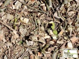 Slaplantjes - Moestuin houthaseling - mulch - Efficiënt waterbeheer   - Tuinhier Oudenburg