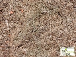 Grasmaaisel - mulch - Efficiënt waterbeheer   - Tuinhier Oudenburg