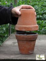 De terracotte plantenpotten op elkaar plaatsen - Efficiënt waterbeheer Terracotta  - Tuinhier Oudenburg