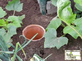 Terracotta plantenpot is geplaatst - Efficiënt waterbeheer Terracotta  - Tuinhier Oudenburg