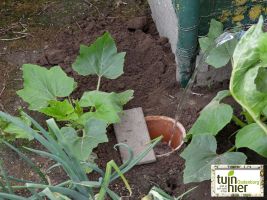 Terracotta plantenpot vullen met water - Efficiënt waterbeheer Terracotta  - Tuinhier Oudenburg