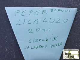 Pepers zaaien - Tuinhier Oudenburg