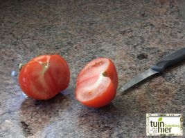 Rondobello - Zaadwinning tomaten - Tuinhier Oudenburg