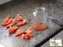 Rondobello - Zaadwinning tomaten - Tuinhier Oudenburg