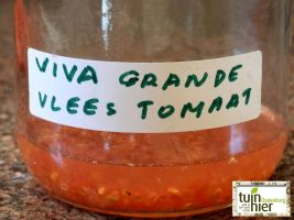 Zaadwinning tomaten - Tuinhier Oudenburg